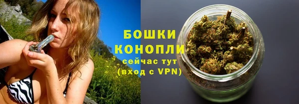 ПСИЛОЦИБИНОВЫЕ ГРИБЫ Беломорск
