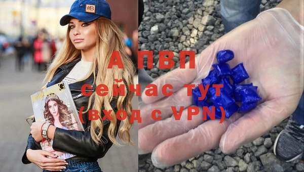 эйфоретик Белокуриха