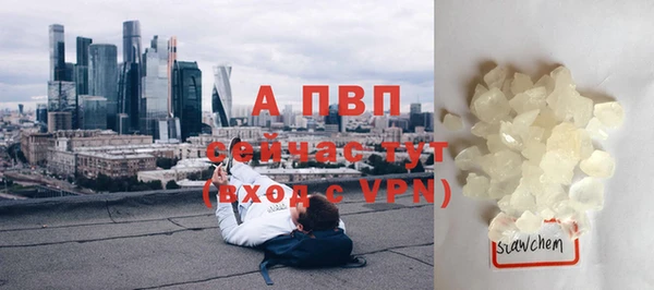 эйфоретик Белокуриха